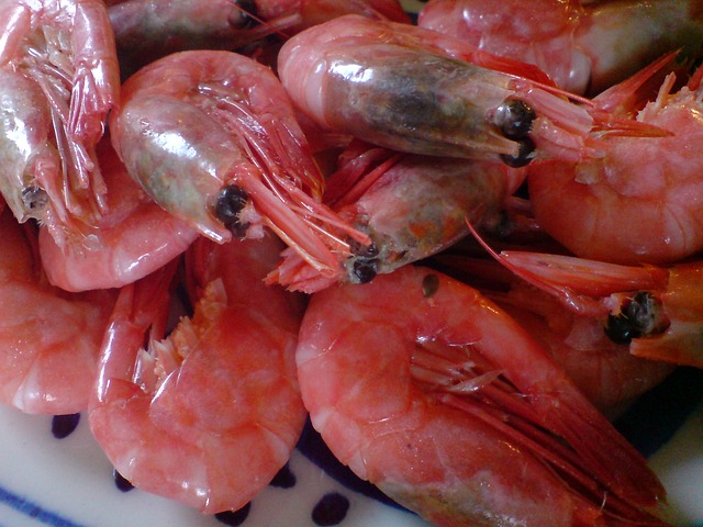 Mengenal Jenis Udang Setandu