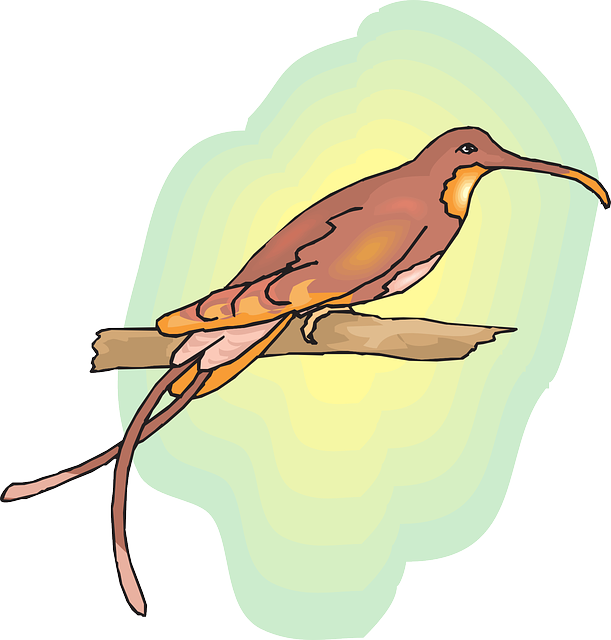 Mengenal Burung Cendrawasih Papua