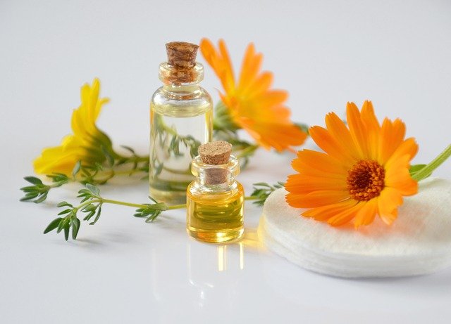 Memiliki Banyak Manfaat, Propolis Terbuat Dari Apa?